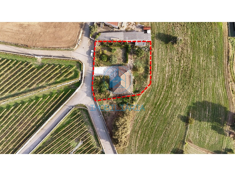 drone (1)